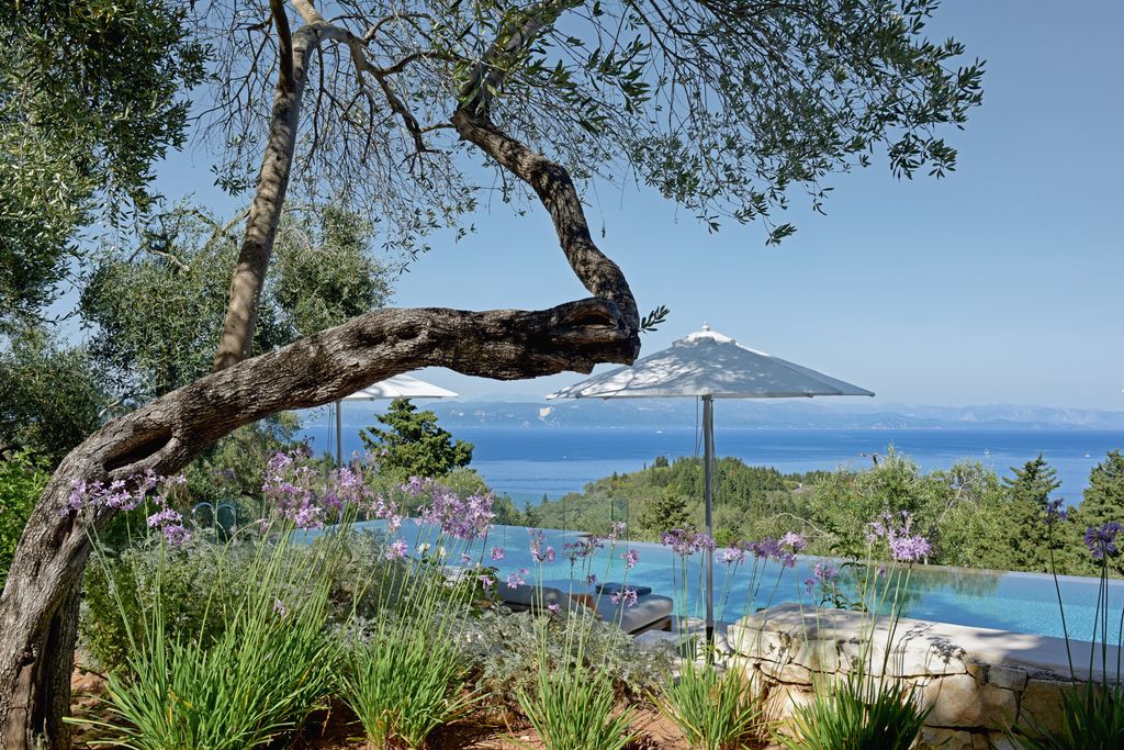 Image may contain Nature Outdoors Scenery Summer Landscape Herbal Herbs Plant Tree Potted Plant and Vegetation