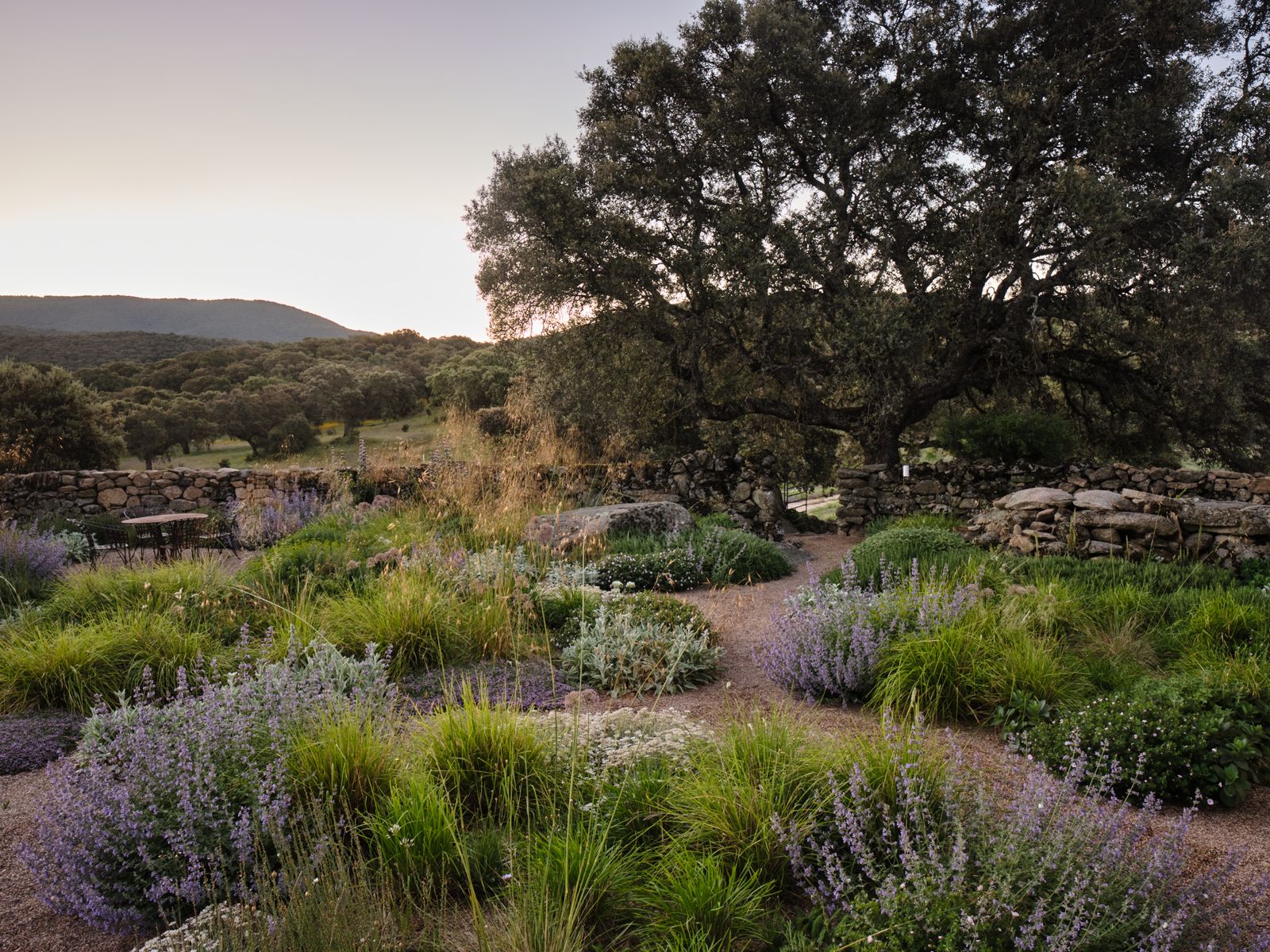 Image may contain Plant Vegetation Herbal Herbs Nature Outdoors Wilderness Land Tree Woodland Grass and Desk