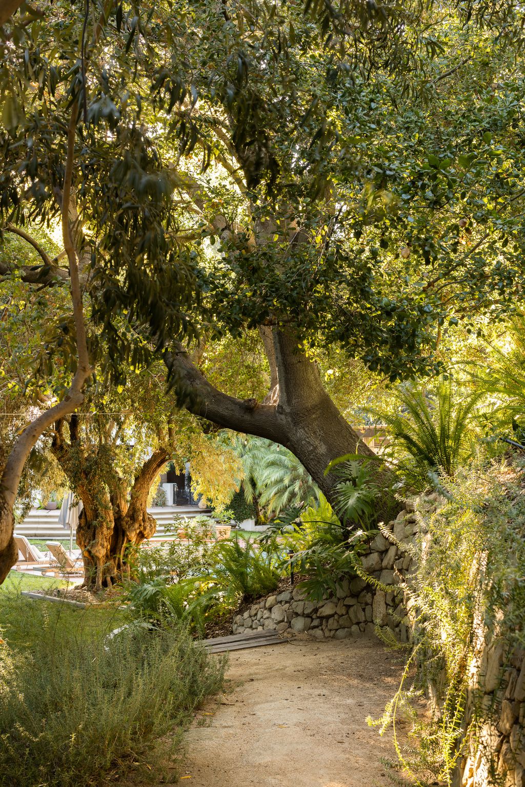 Image may contain Plant Tree Tree Trunk Path Vegetation Walkway Garden Nature Outdoors Land Woodland and Grove