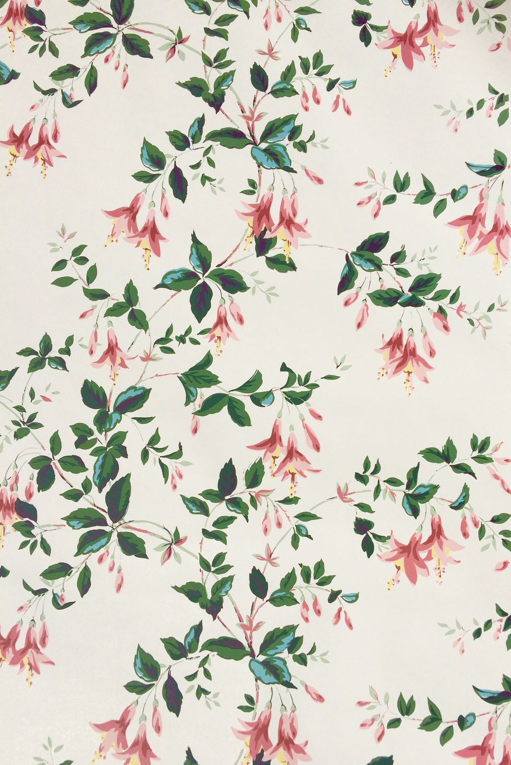 Image may contain Art Floral Design Graphics Pattern Plant and Leaf