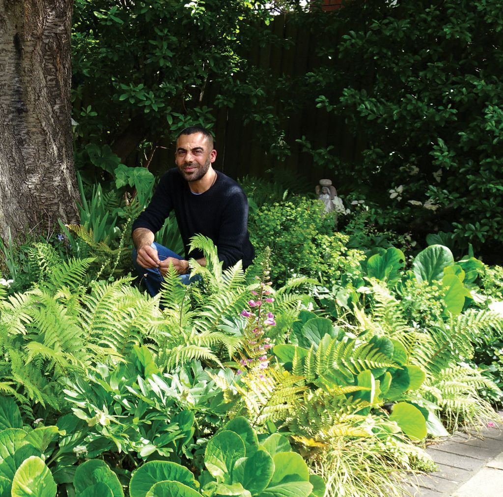 Image may contain Herbal Herbs Plant Vegetation Green Garden Nature Outdoors Jungle Grove Land Tree and Woodland