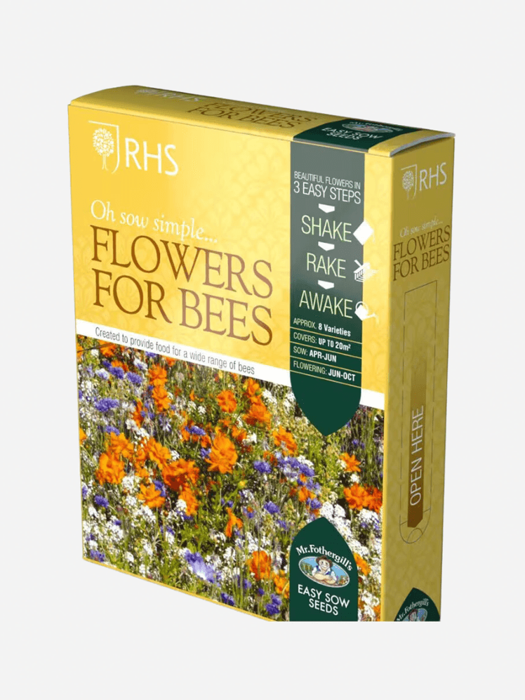 Image may contain: Herbal, Herbs, Plant, and Flower