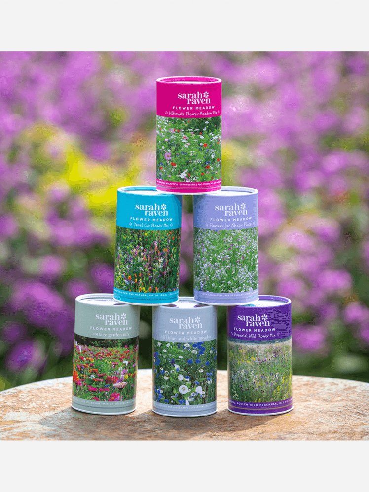 Image may contain: Herbal, Herbs, Plant, Sprinkles, Tin, and Can