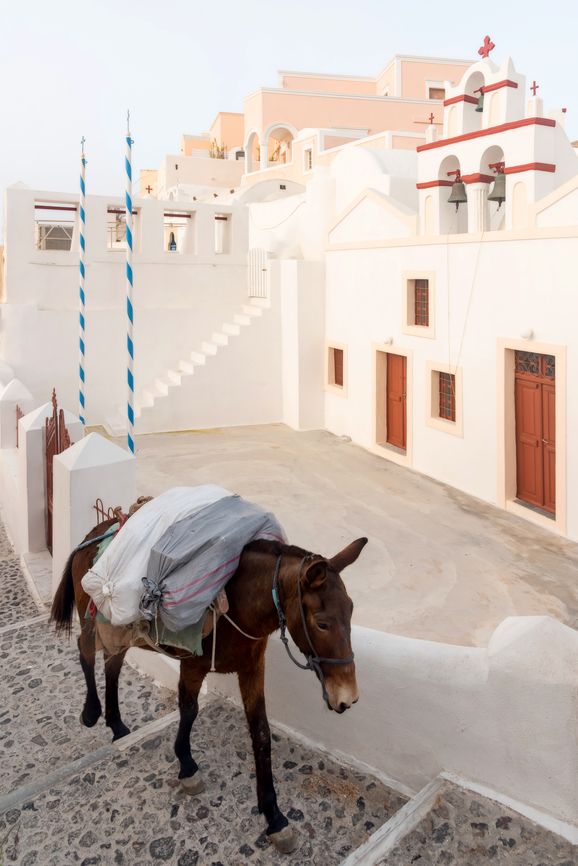 Image may contain Architecture Building Outdoors Shelter Animal Horse and Mammal