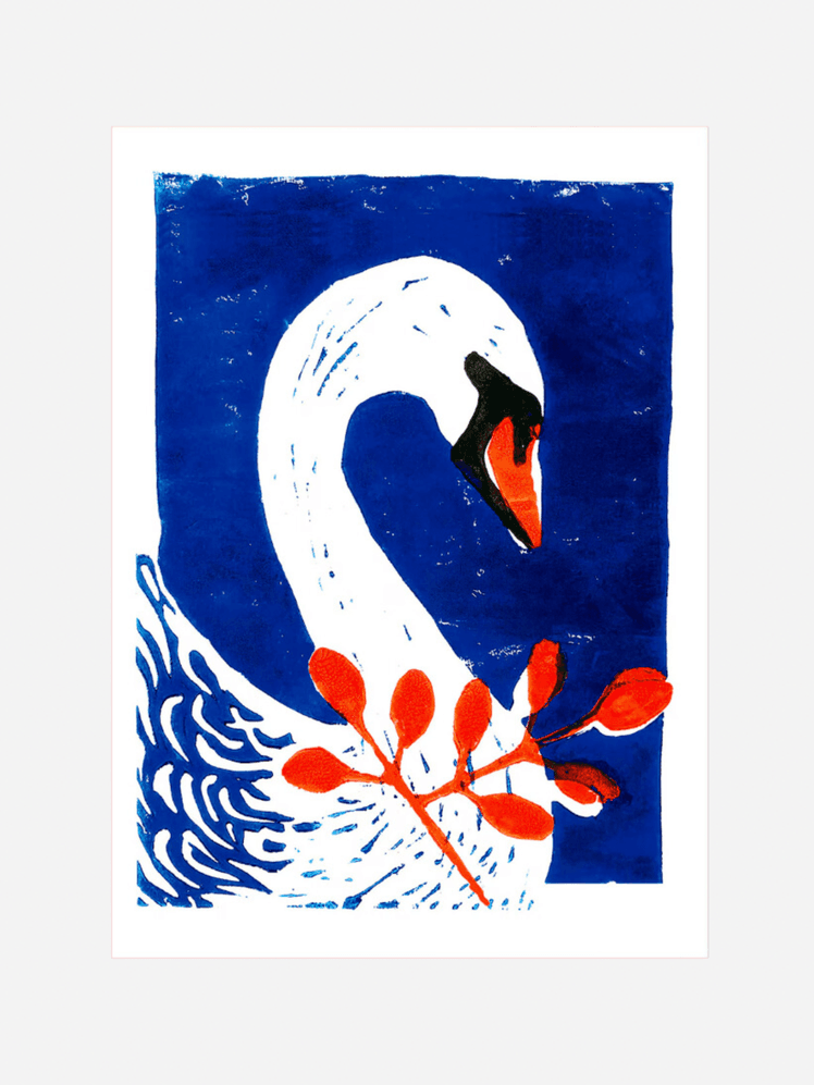 Image may contain: Animal, Bird, and Swan