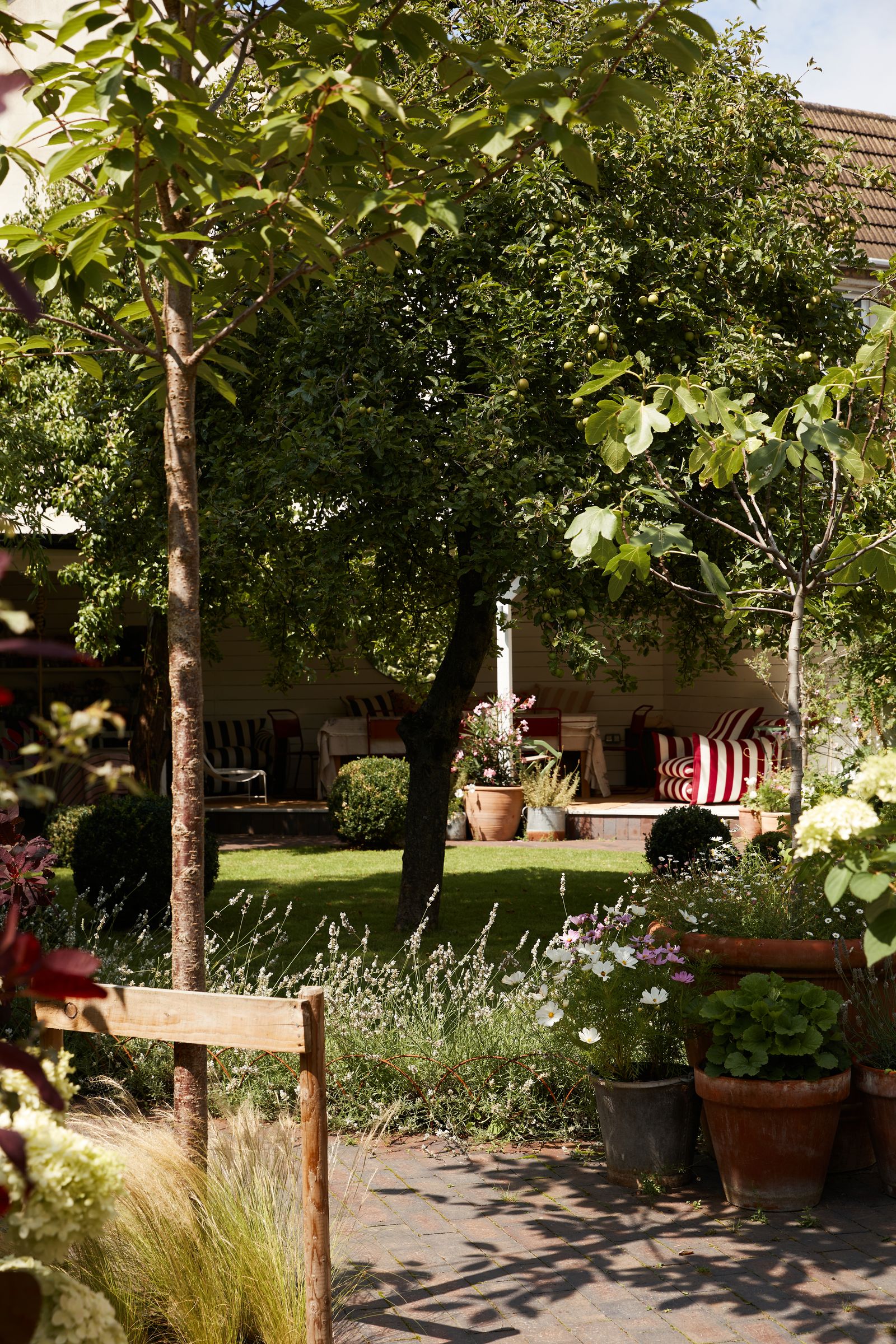 Image may contain Plant Potted Plant Jar Planter Pottery Vase Backyard Nature Outdoors Yard Garden and Grass