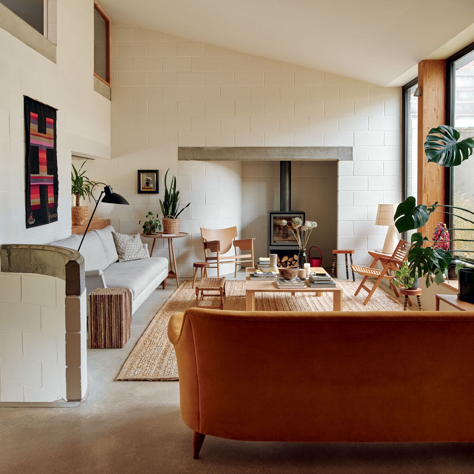 How to care for a snake plant