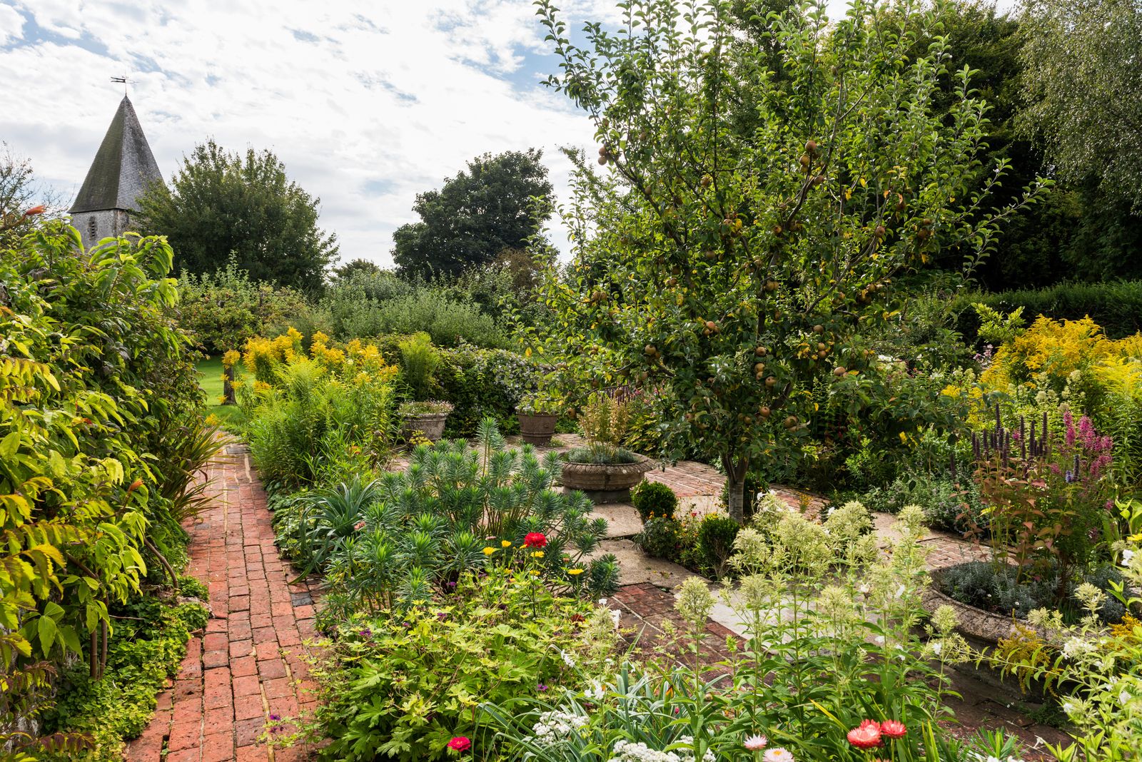 Image may contain Garden Nature Outdoors Plant Vegetation Grass Park Herbal Herbs Backyard Yard Path and Walkway