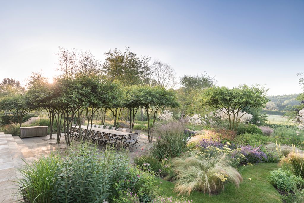 Image may contain Garden Nature Outdoors Grass Plant Park Backyard Yard Vegetation Architecture and Building