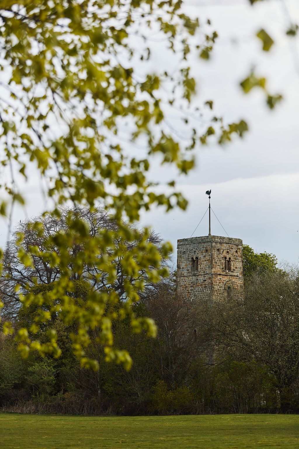 Image may contain Grass Plant Architecture Building Monastery Tree Castle Fortress Vegetation Lawn and Outdoors