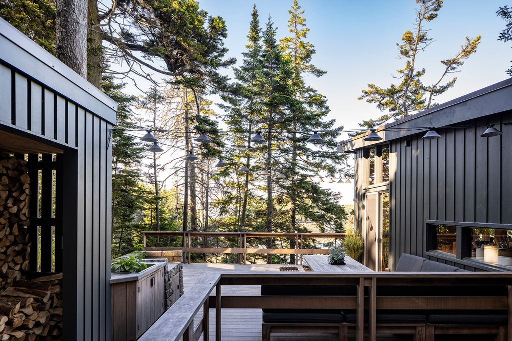 Image may contain Nature Outdoors Scenery Plant Tree Indoors and Interior Design