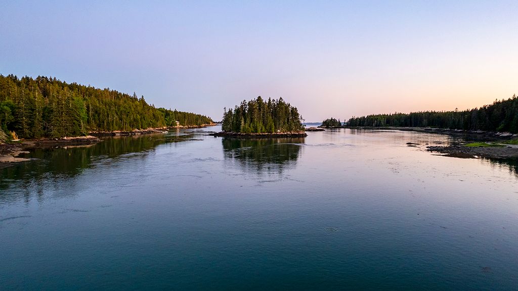 Image may contain Nature Outdoors Scenery Lake Water Landscape Plant and Tree