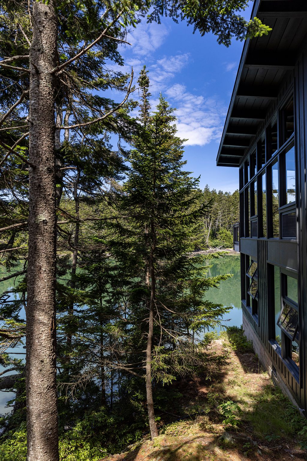 Image may contain Plant Tree Nature Outdoors Scenery Fir Vegetation Architecture Building Shelter and Conifer