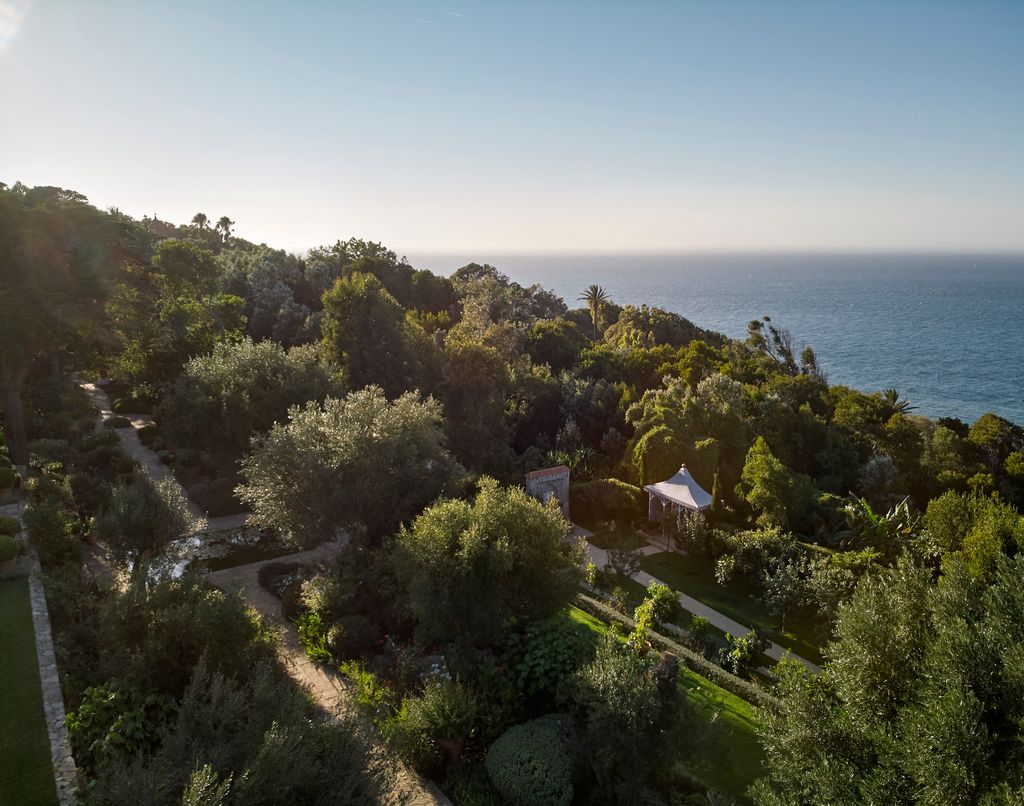 Image may contain Plant Vegetation Land Nature Outdoors Tree Woodland Scenery Sea Water Grass and Aerial View