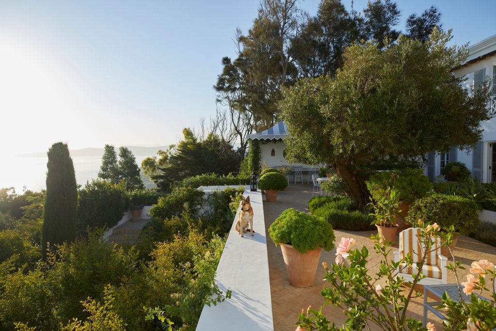 Image may contain Plant Potted Plant Nature Outdoors Scenery Architecture Building House Housing Villa and Tree