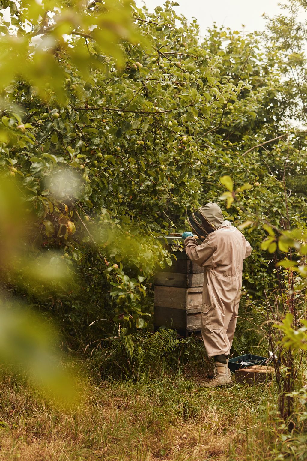 Image may contain Clothing Glove Garden Nature Outdoors Adult Person Footwear Shoe Plant Vegetation and Gardening