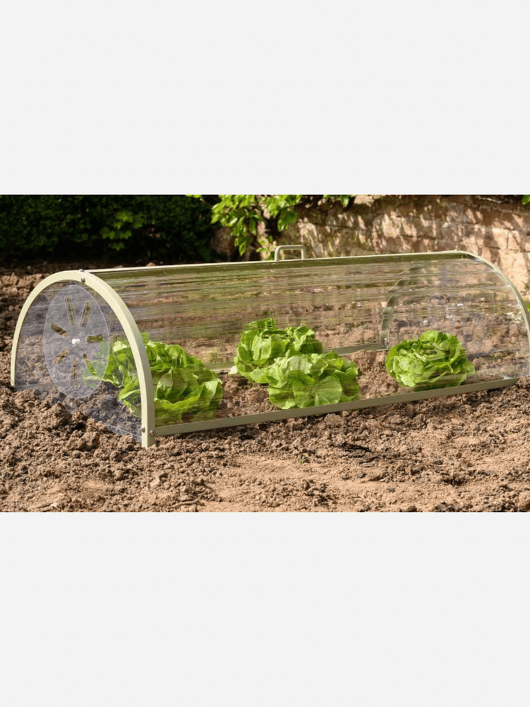 Image may contain: Garden, Nature, Outdoors, Gardening, Food, Lettuce, Plant, Produce, and Vegetable