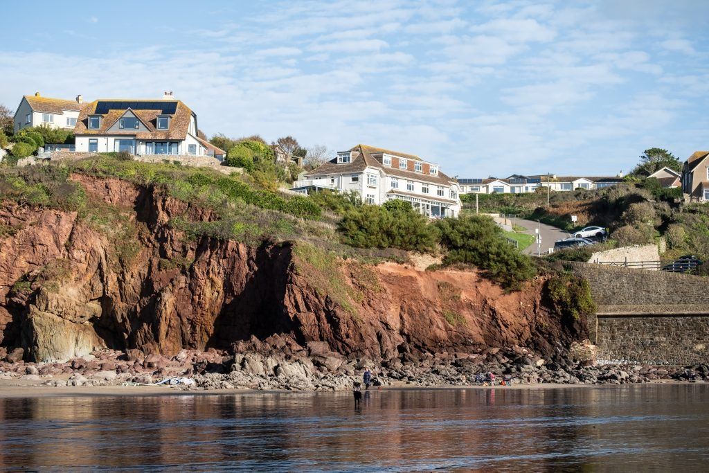 Image may contain Animal Canine Dog Mammal Newfoundland Pet Nature Outdoors Scenery Rock Sea and Water