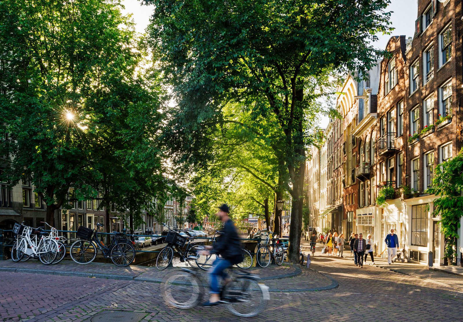 Image may contain City Road Street Urban Neighborhood Person Bicycle Transportation Vehicle Accessories and Bag