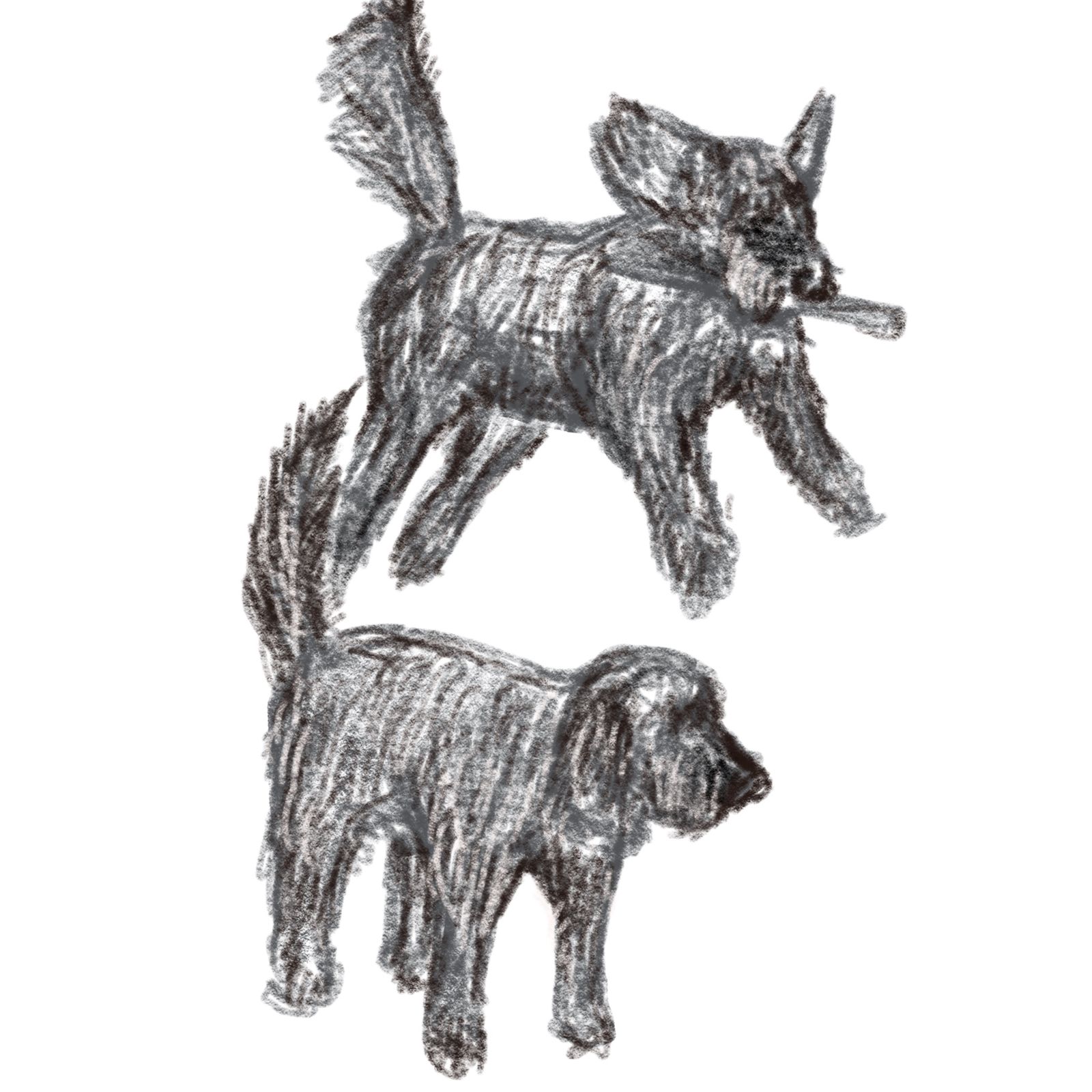 Image may contain Art Animal Canine Dog Mammal Pet Coyote and Drawing