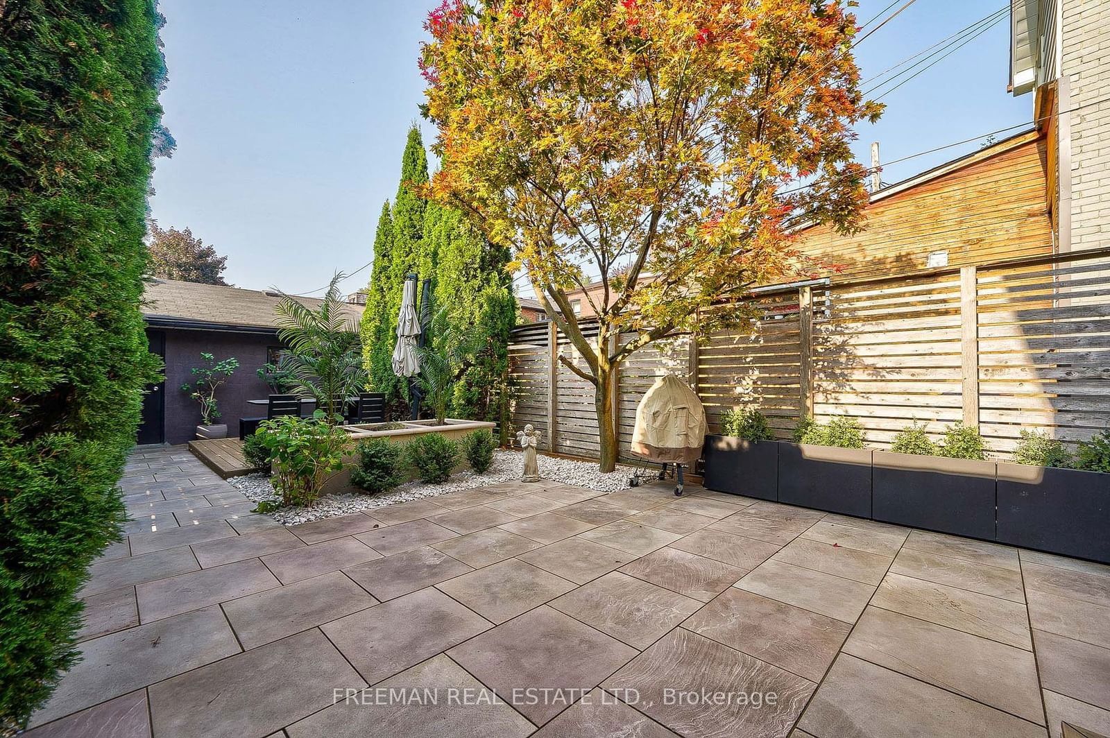 Image may contain Path Walkway Backyard Nature Outdoors Yard Plant Flagstone City Road Street Urban and Tree