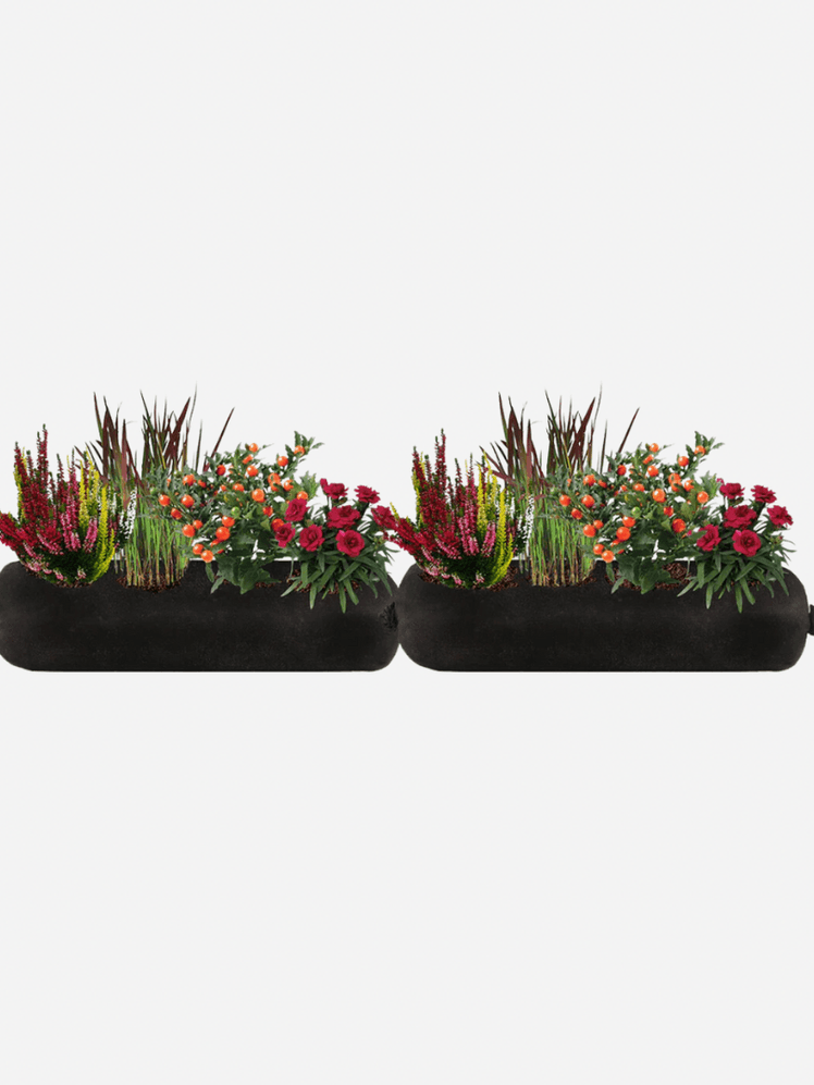 Image may contain: Flower, Flower Arrangement, Plant, Potted Plant, Flower Bouquet, Jar, Pottery, Vase, Planter, and Ikebana