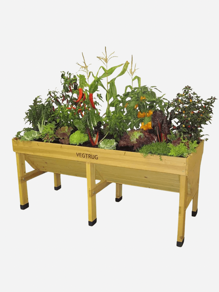 Image may contain: Jar, Plant, Planter, Potted Plant, Pottery, and Vase