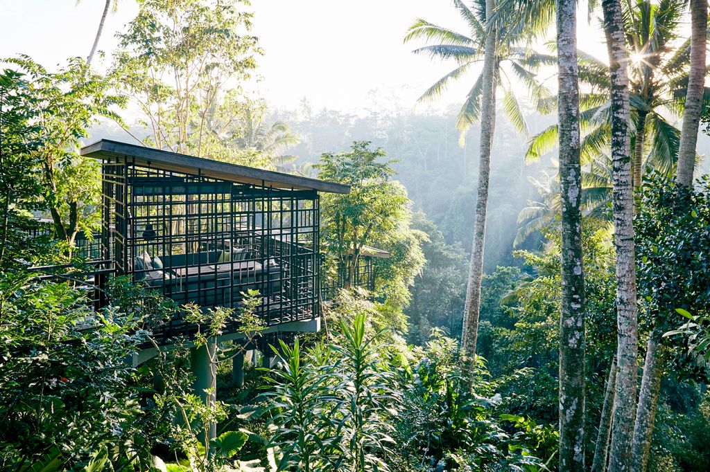 Image may contain Land Nature Outdoors Plant Rainforest Tree Vegetation Jungle Architecture Building and Hotel
