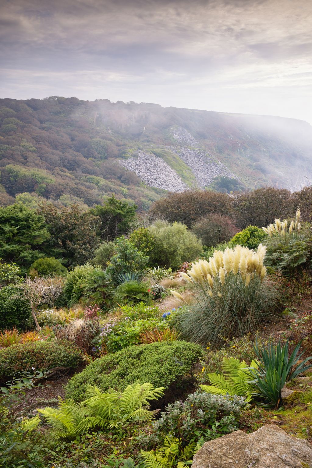 Image may contain Plant Vegetation Nature Outdoors Wilderness Grass Jungle Agavaceae Landscape Scenery and Tree