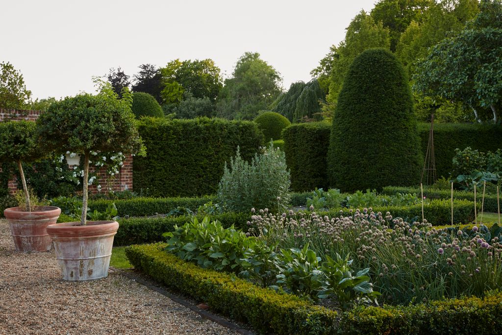 Image may contain Garden Nature Outdoors Grass Park Plant Fence Hedge Vegetation Tree Backyard and Yard