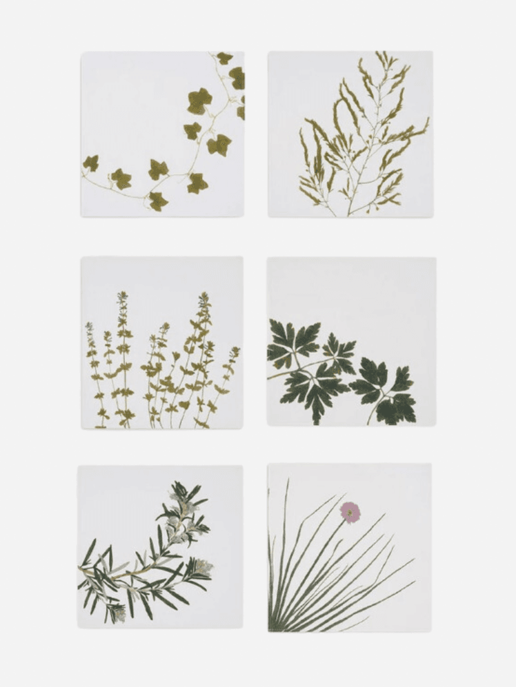 Image may contain: Herbal, Herbs, Plant, Leaf, Art, Grass, Astragalus, and Flower