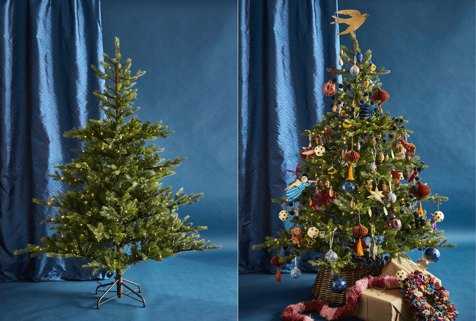 Image may contain Plant Tree Christmas Christmas Decorations Festival Christmas Tree and Pine