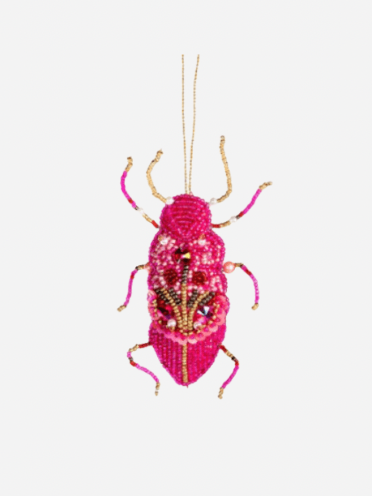 Image may contain: Animal, Insect, Invertebrate, Cricket Insect, Bee, and Wasp