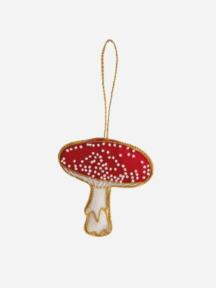 Image may contain: Fungus, Plant, Accessories, Mushroom, and Agaric