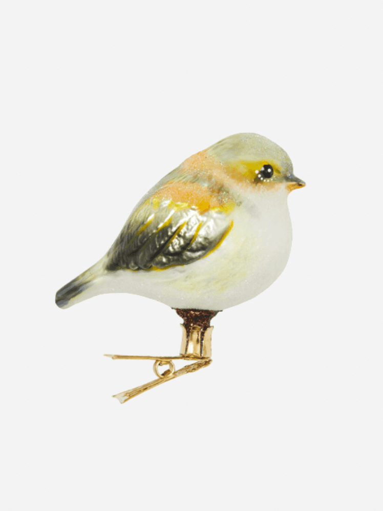 Image may contain: Animal, Bird, Finch, and Canary