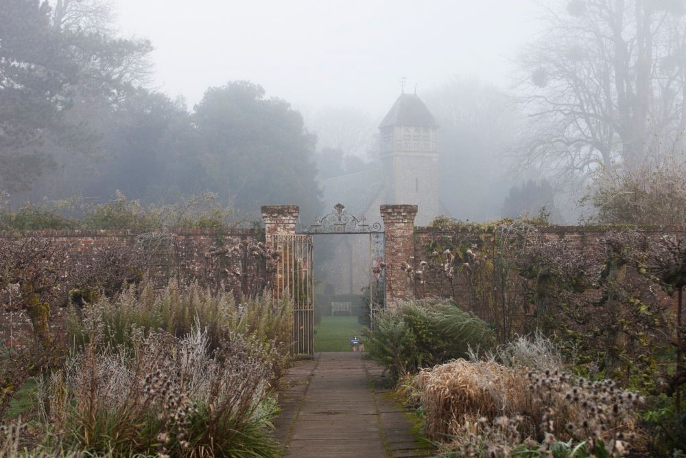 Image may contain Nature Outdoors Weather Fog Mist Grass Plant Path Walkway Garden Vegetation and Graveyard