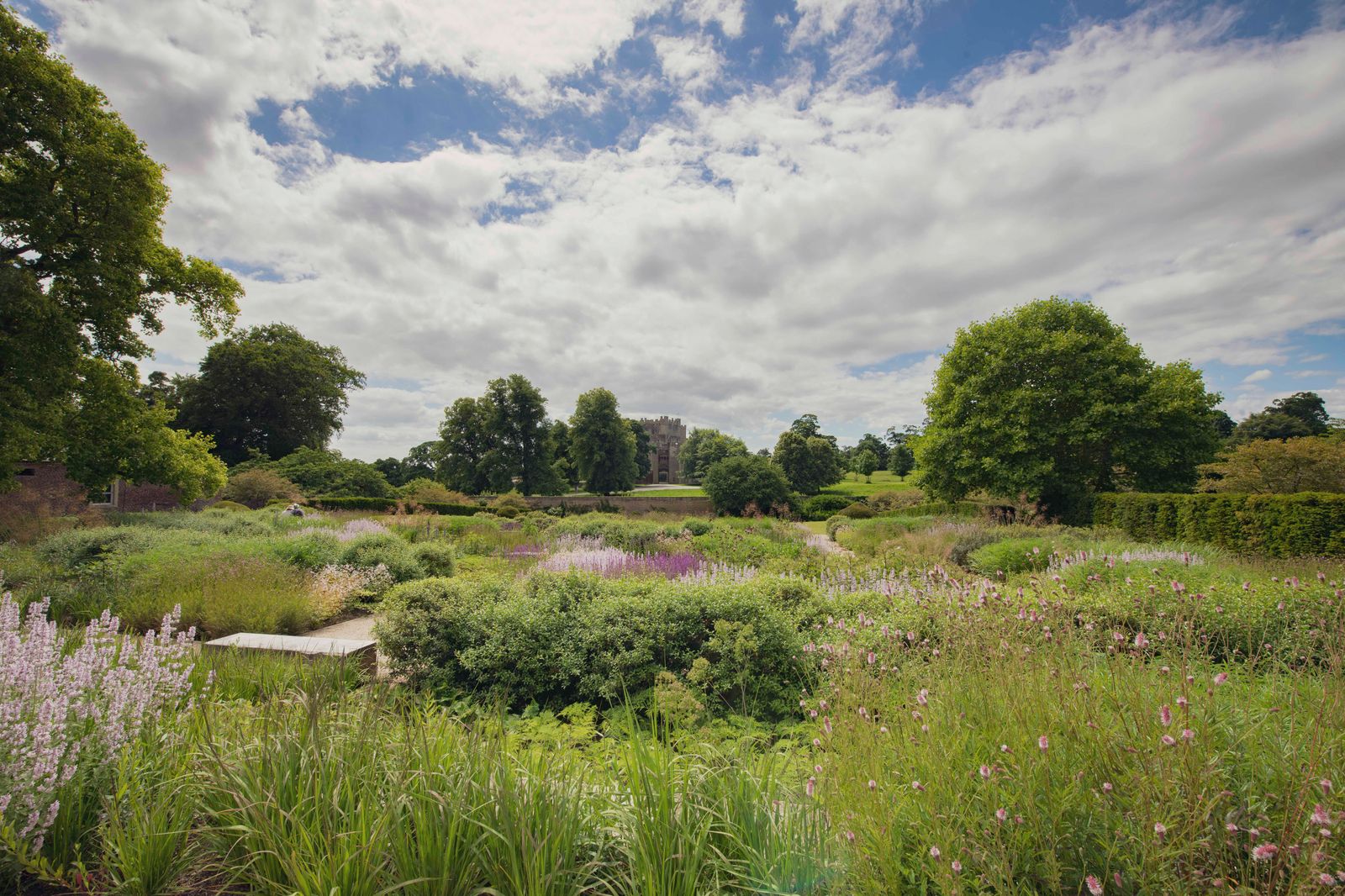 Image may contain Grass Plant Vegetation Nature Outdoors Park Countryside Field Grassland Meadow Rural and Land