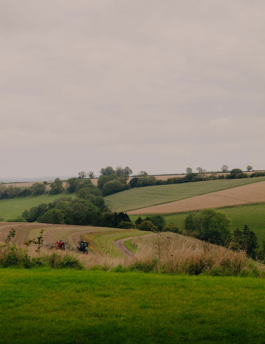 Image may contain Countryside Farm Field Nature Outdoors Pasture Rural Grass Plant Grassland Meadow and Person