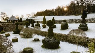 Image may contain Outdoors Nature Graveyard Plant Tree Grass and Park