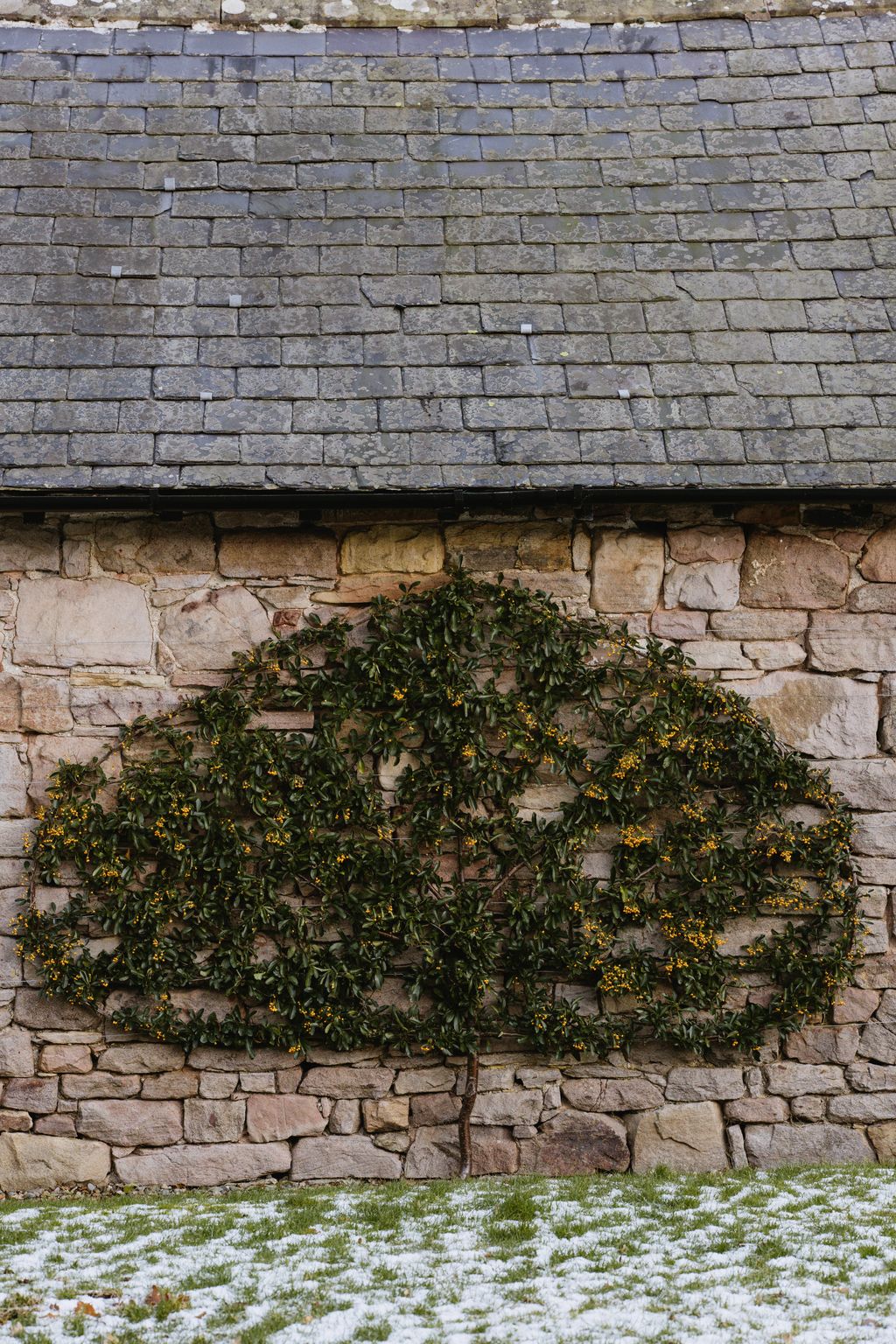 Image may contain Slate Architecture Building Wall Plant Vegetation Brick and Path