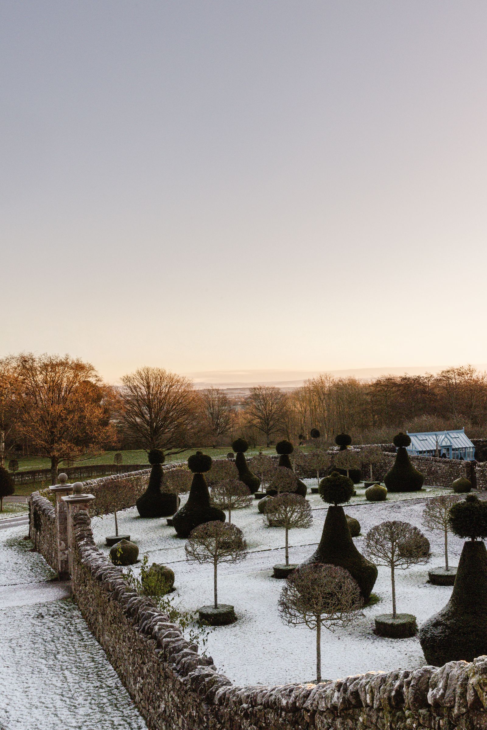 Image may contain Outdoors Graveyard Nature Plant and Tree