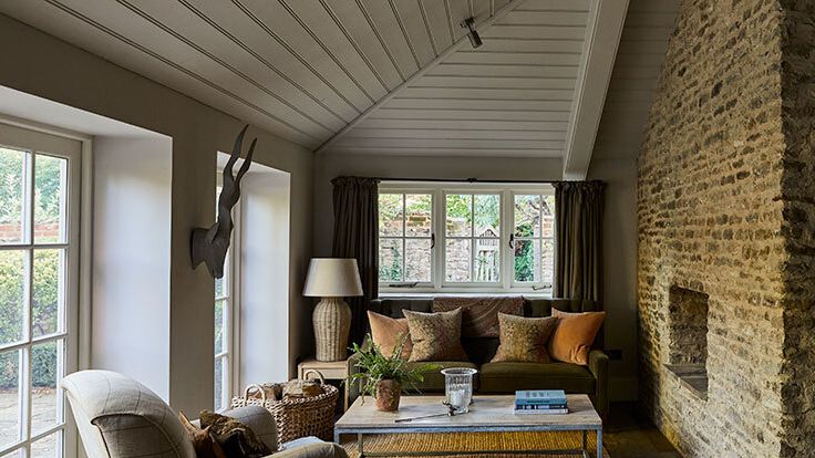 Image may contain: Indoors, Interior Design, Lamp, Plant, Couch, Furniture, Home Decor, Animal, Canine, Dog, Mammal, and Pet