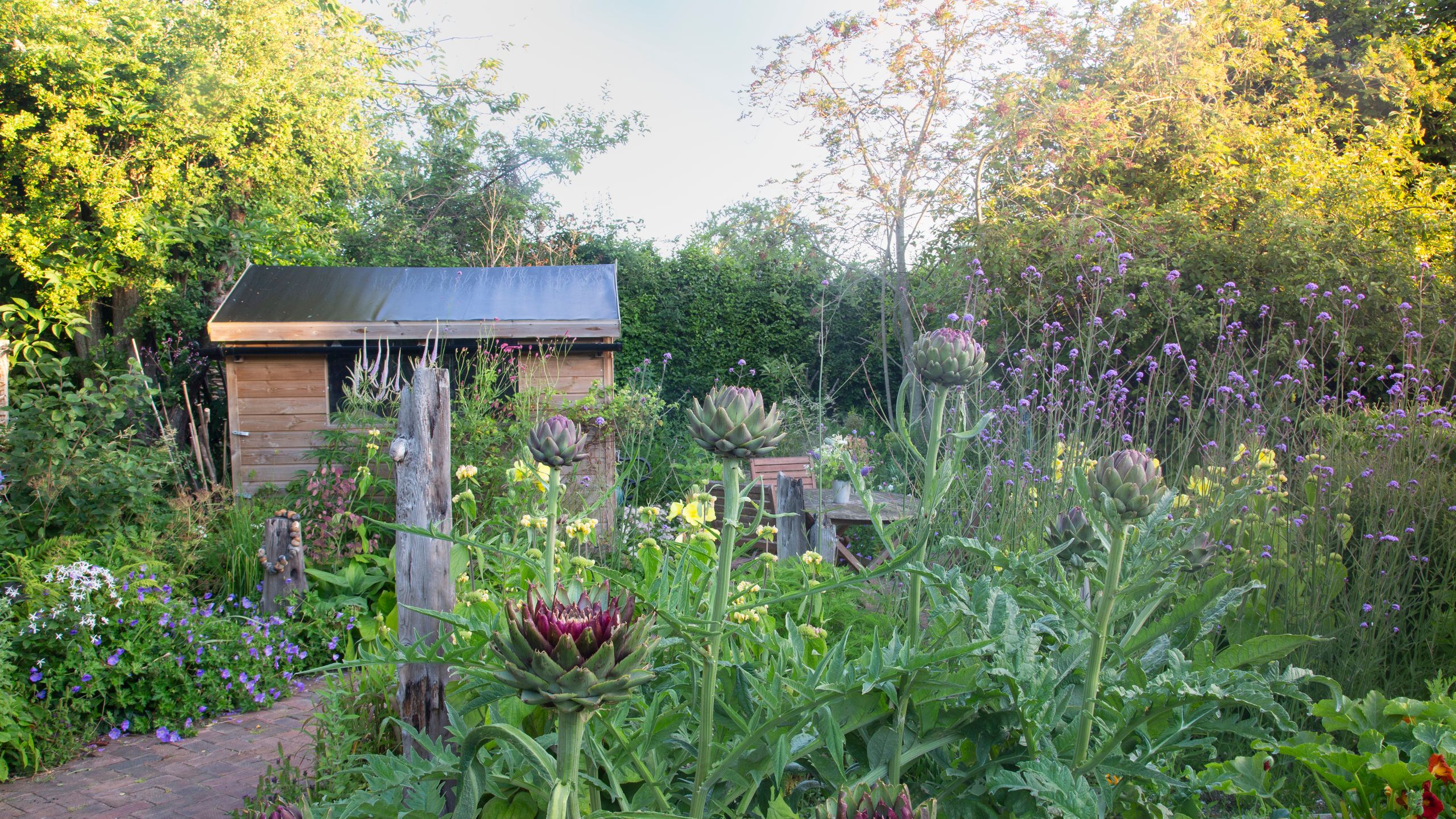 Image may contain: Garden, Nature, Outdoors, Backyard, Yard, Herbal, Herbs, Plant, Architecture, Building, Cottage, and House