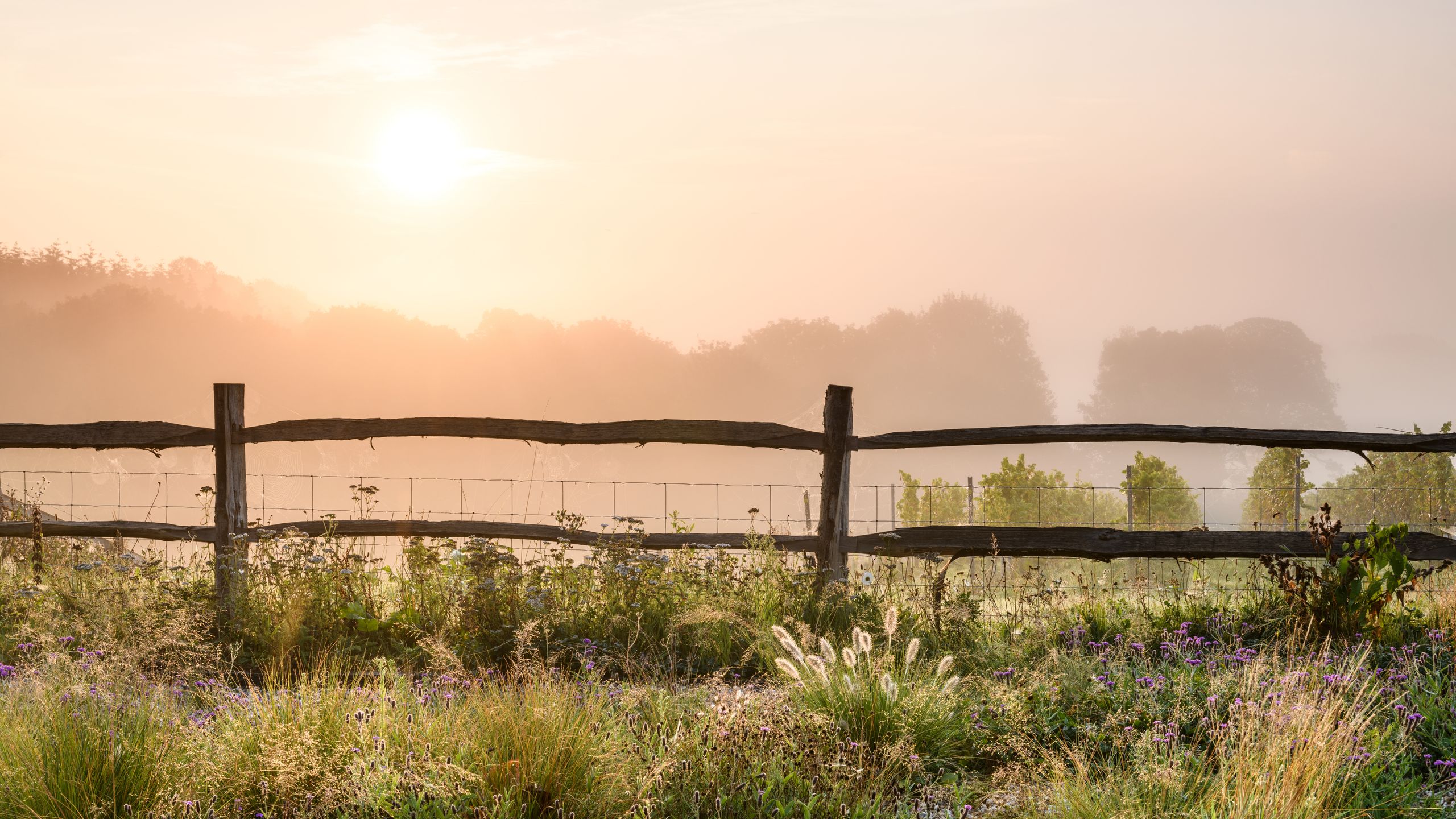 Image may contain: Nature, Outdoors, Yard, Grass, Plant, Sky, Scenery, Vegetation, Person, Landscape, and Picket Fence