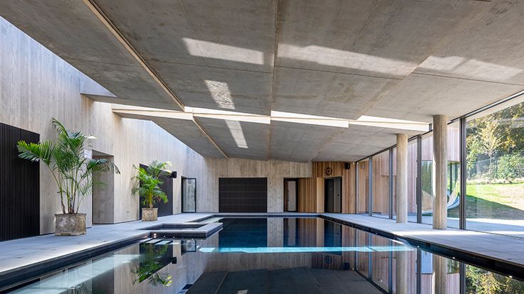 Image may contain: Plant, Pool, Water, Indoors, Interior Design, Swimming Pool, and Outdoors
