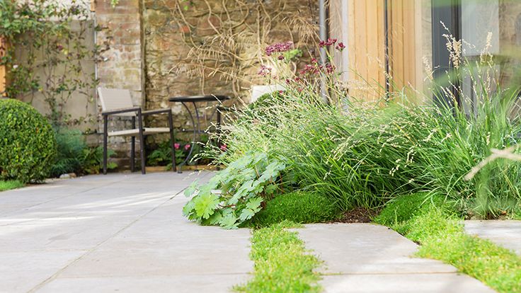 Image may contain: Grass, Plant, Backyard, Nature, Outdoors, Yard, Path, Walkway, Chair, Furniture, Lawn, and Sidewalk