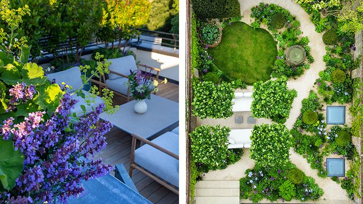 Image may contain: Garden, Nature, Outdoors, Backyard, Yard, Chair, Furniture, Grass, Plant, Flower, Park, and Vegetation