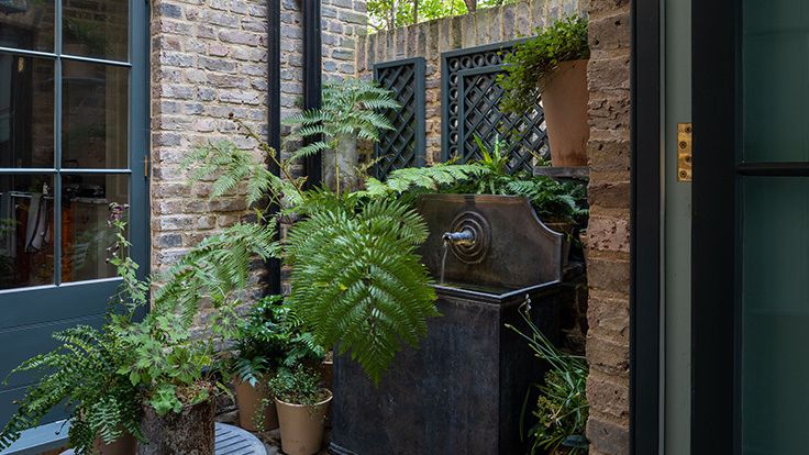 Image may contain: Plant, Potted Plant, Fern, Desk, Furniture, Table, Jar, Planter, Pottery, Vase, Backyard, and Nature