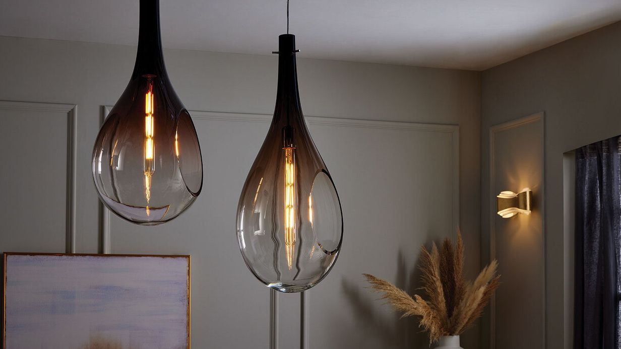 Image may contain: Lamp, Chandelier, Light Fixture, and Plant