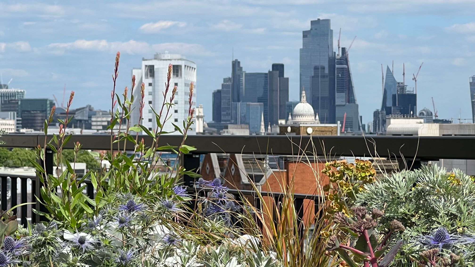 Image may contain: City, Architecture, Building, Cityscape, Urban, Metropolis, Construction, and Construction Crane